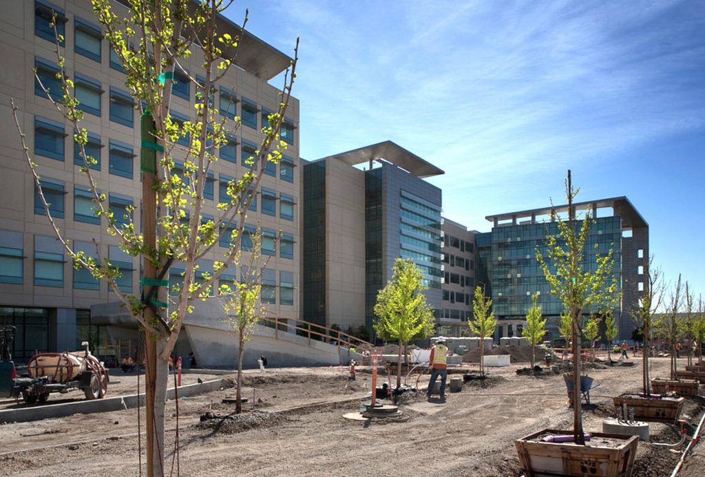Photo of a hospital building under construction with landscaping being installed
