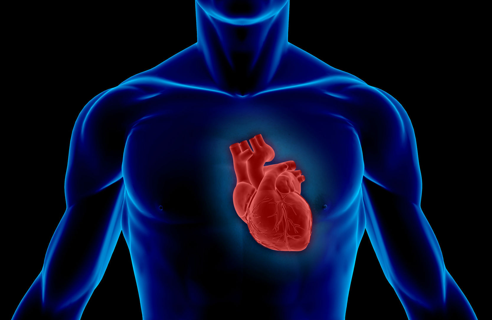 Image of a person silhouette revealing a red colored heart.