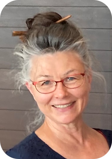 Lori Link, Director of Midwifery at Plumas District Hospital